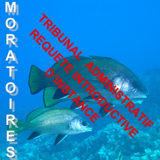 Moratoires corb-mérou, Recours Contentieux