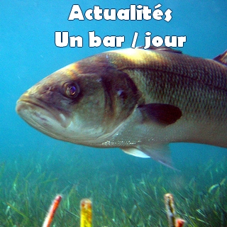 Le parlement européen soutient les pêcheurs de loisirs
