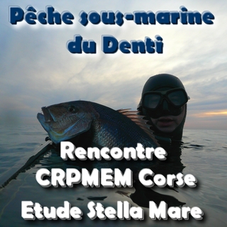 Denti , où en sommes-nous?